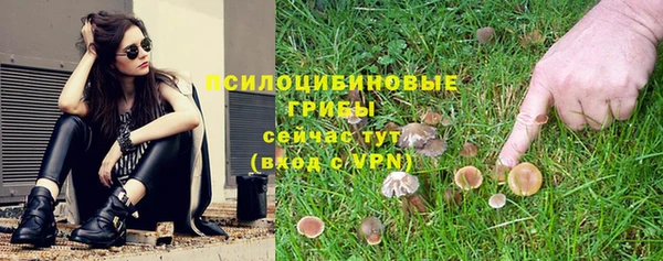 дурь Абинск